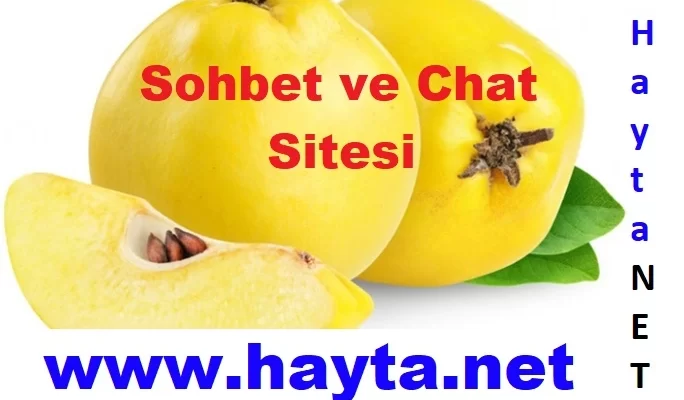 Ayva Sohbet